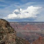 OTRA_2016_0477 (October 08, 2016)